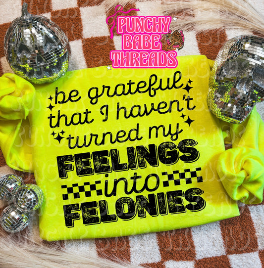 Felonies Adult Graphic